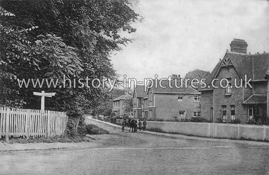 Dunmow Road, Hatfield Broad Oak, 1908